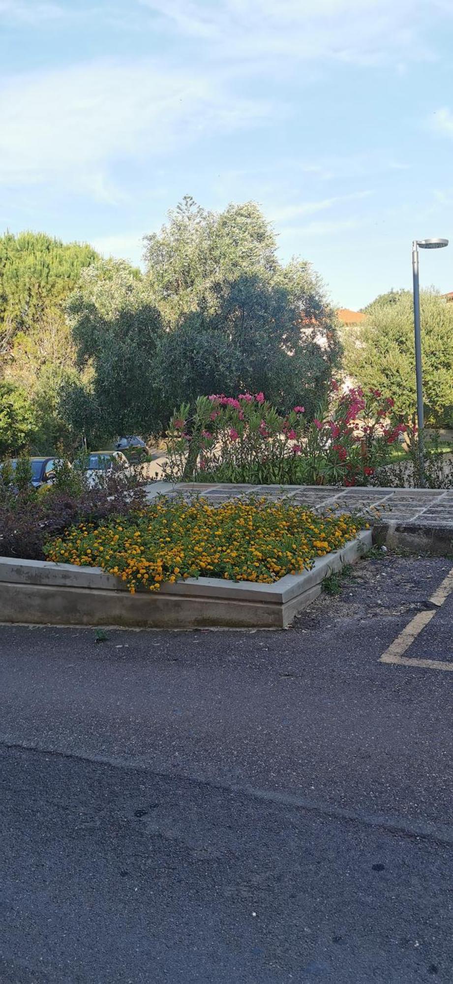La Mariposa Villa Iglesias Dış mekan fotoğraf