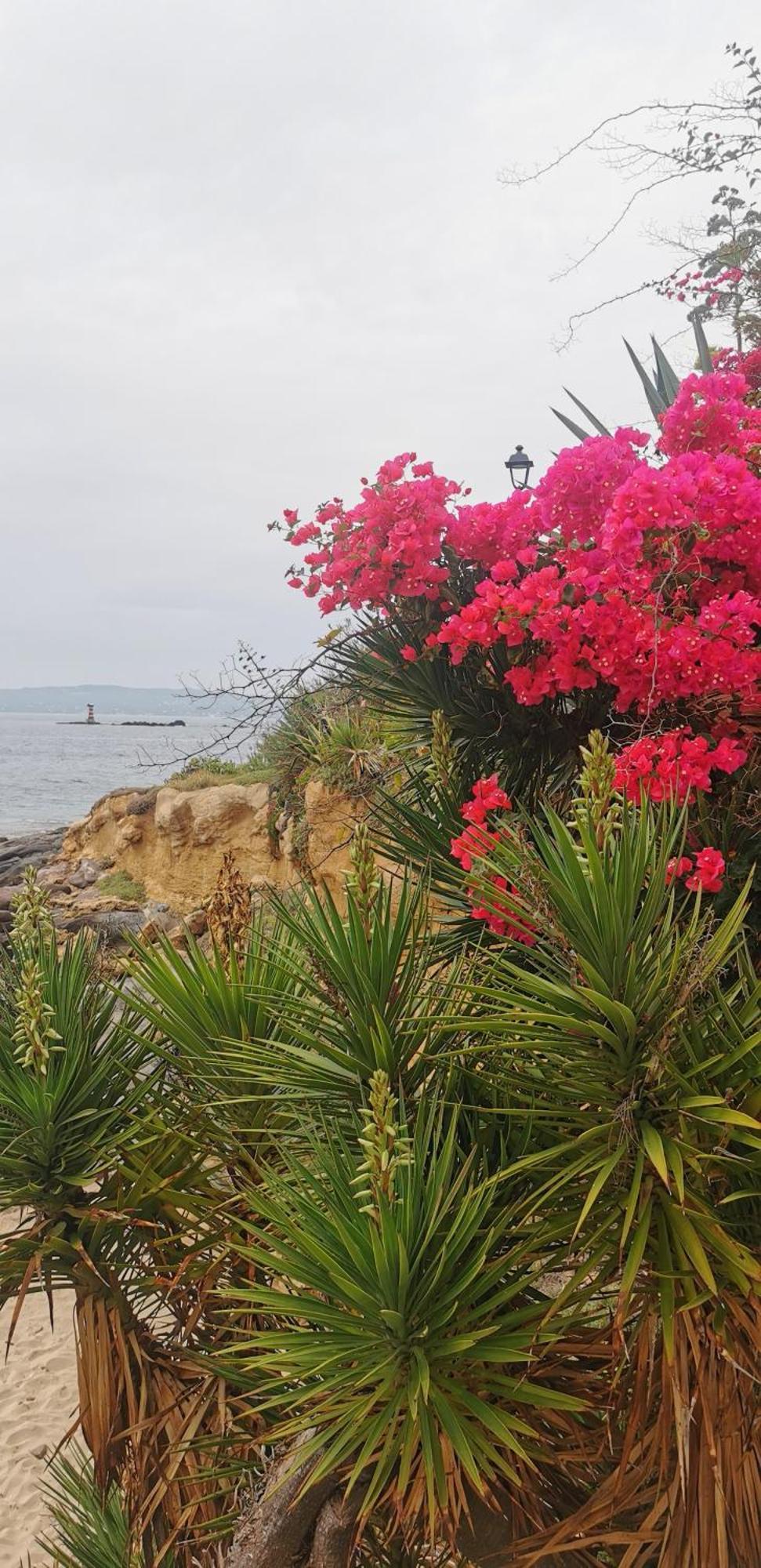 La Mariposa Villa Iglesias Oda fotoğraf